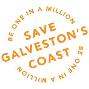 Team Page: Stevie Test